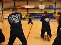 Legnica treningi krav maga Legnica  (65)