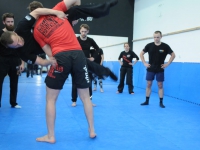 no pain no fight Adam Grzeziółkowski krav maga legnica seminarium wroclaw zapasy bjj (18)