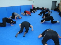 no pain no fight Adam Grzeziółkowski krav maga legnica seminarium wroclaw zapasy bjj (2)