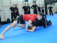 no pain no fight Adam Grzeziółkowski krav maga legnica seminarium wroclaw zapasy bjj (23)