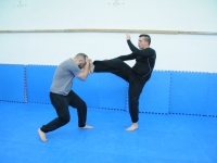 no pain no fight Adam Grzeziółkowski krav maga legnica seminarium wroclaw zapasy bjj (24)